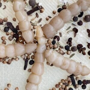 Learn how to make Florida Betony Pickles